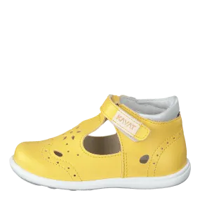 Ängskär Xc Yellow
