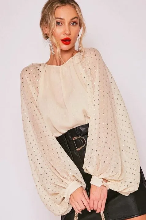 Sparkle and Shine Sequin Sleeve Top