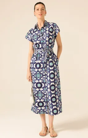 TREE SWALLOW SHIRTMAKER DRESS