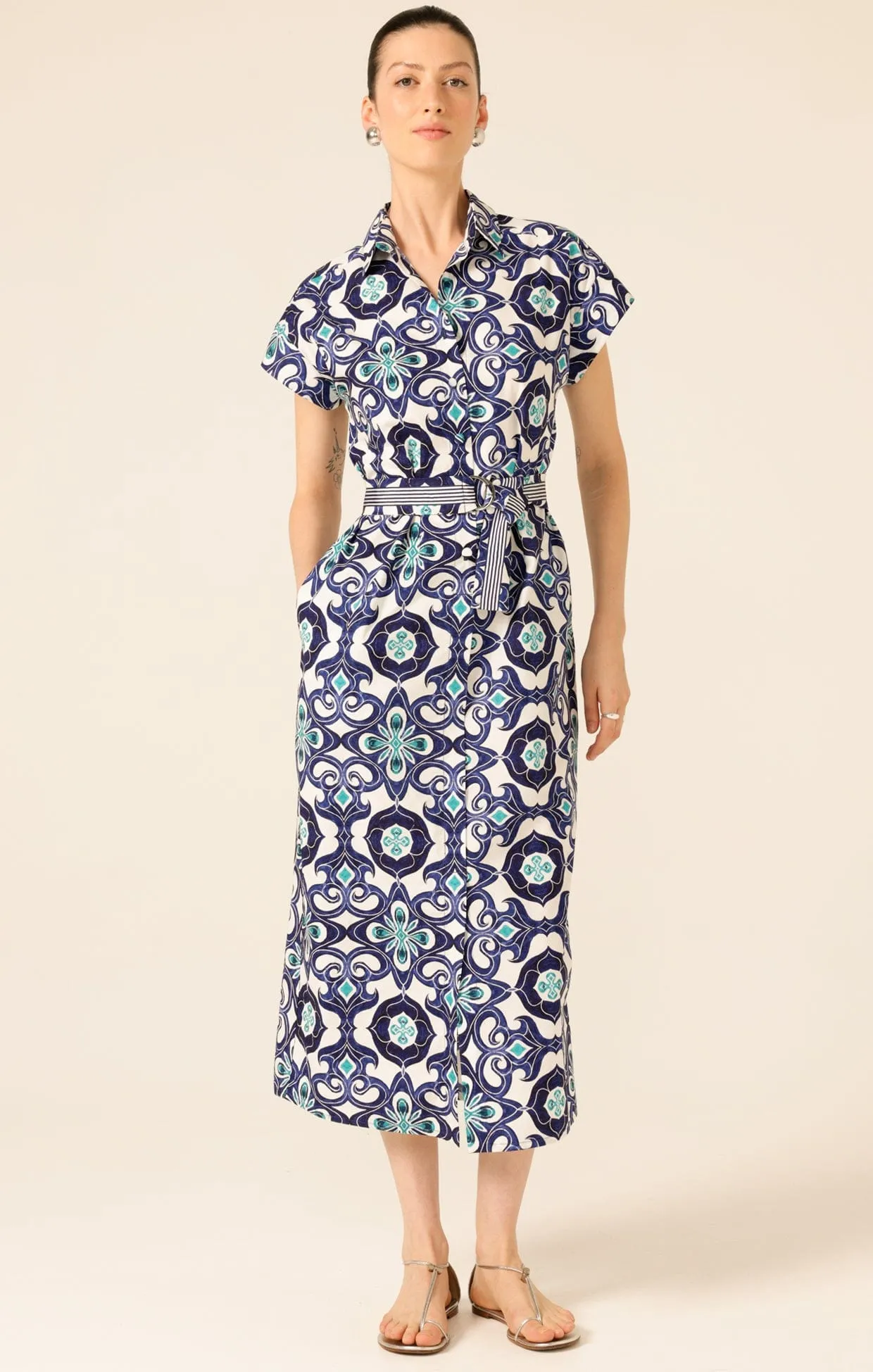 TREE SWALLOW SHIRTMAKER DRESS