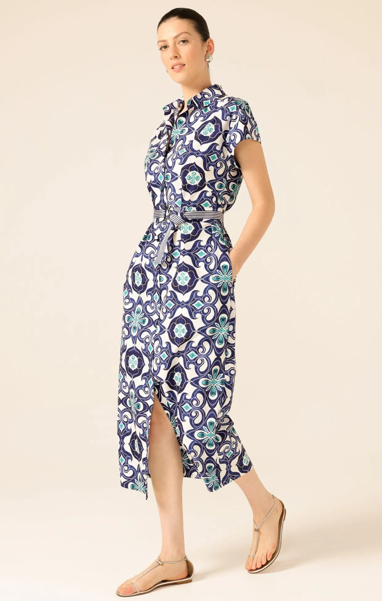 TREE SWALLOW SHIRTMAKER DRESS