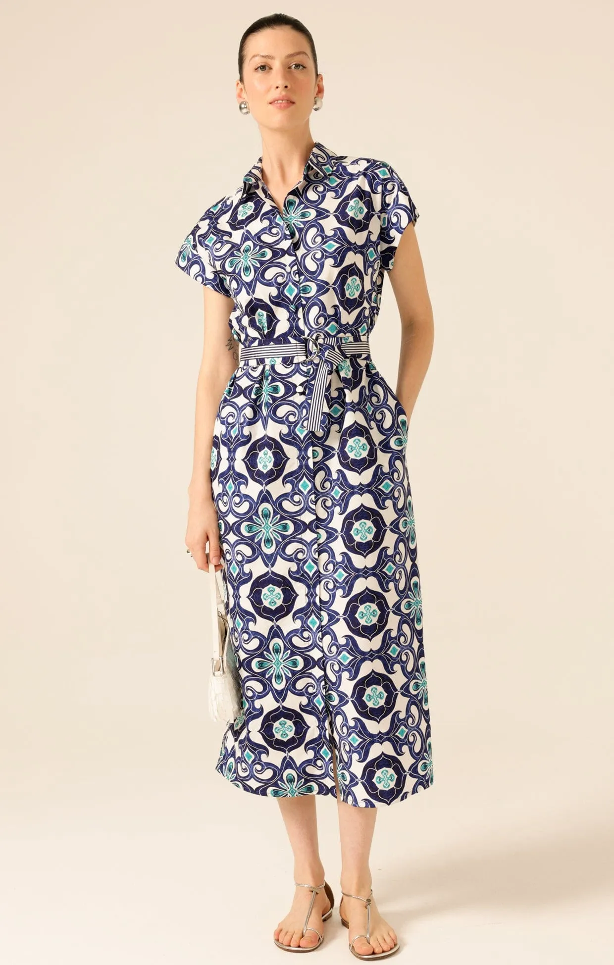 TREE SWALLOW SHIRTMAKER DRESS